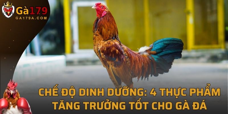 Chế Độ Dinh Dưỡng