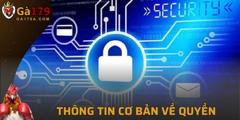 Tổng quan các nét cơ bản trong quyền riêng tư