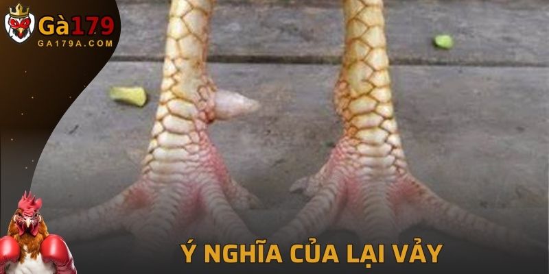 Ý nghĩa và lợi ích của loại vảy